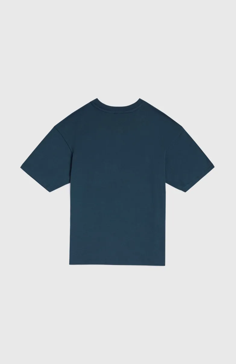 Graphic T-shirt | Alma Steel