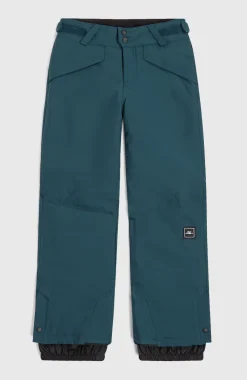 Hammer Wintersportbroek | Alma Steel