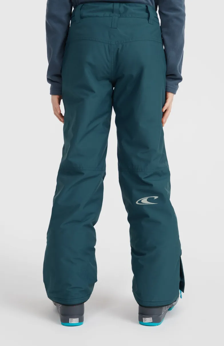 Hammer Wintersportbroek | Alma Steel