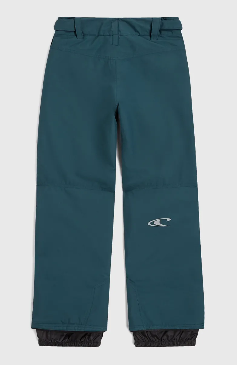 Hammer Wintersportbroek | Alma Steel