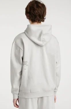 Hoodie Future Surf Society | London Fog