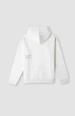 Hoodie Future Surf Society | London Fog