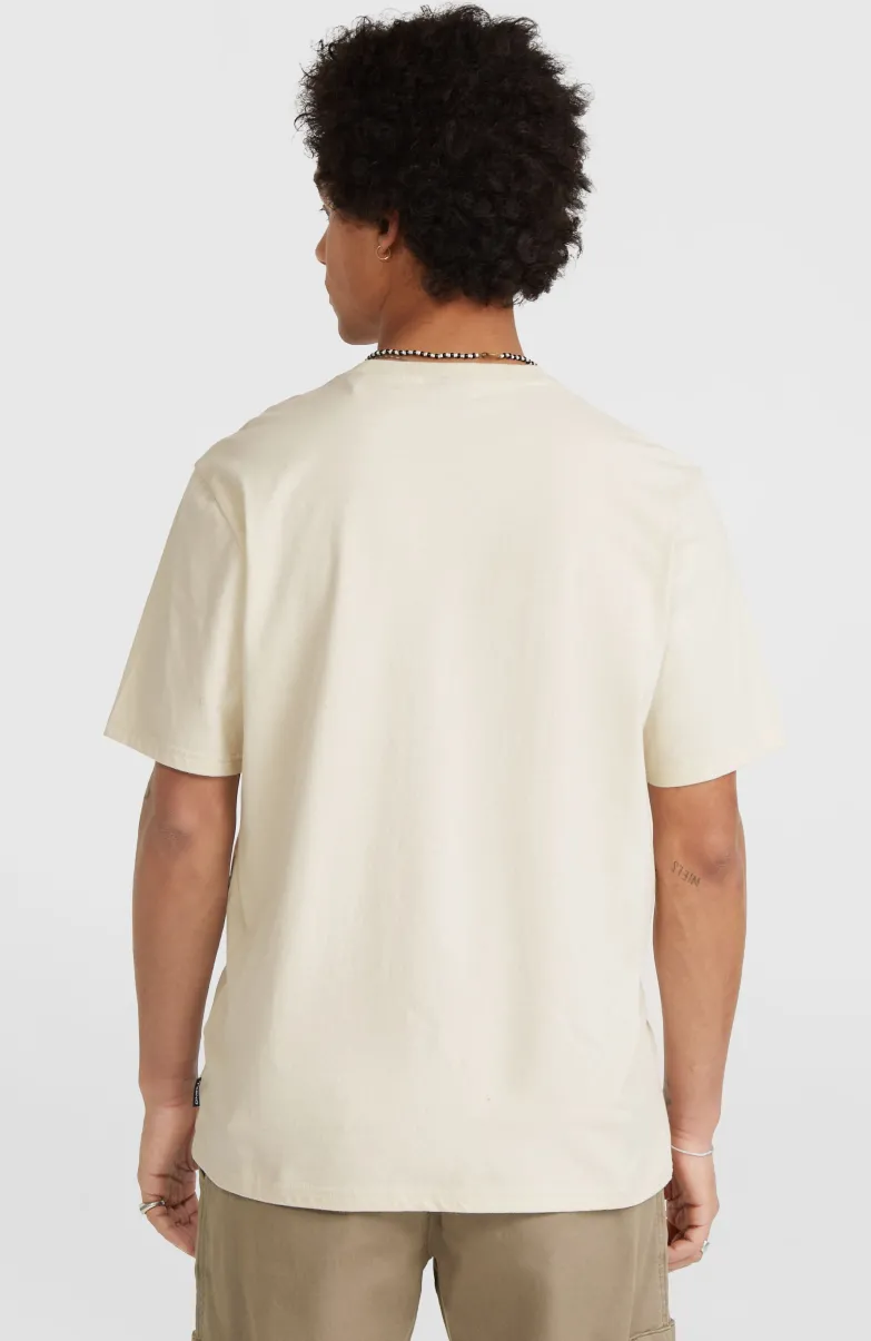 Ikat Stripe T-shirt | Atmosphere
