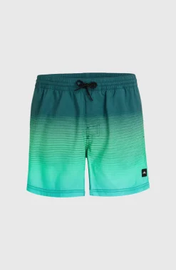 Jack O'Neill Cali Gradient 15