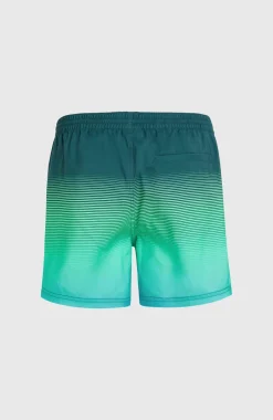 Jack O'Neill Cali Gradient 15
