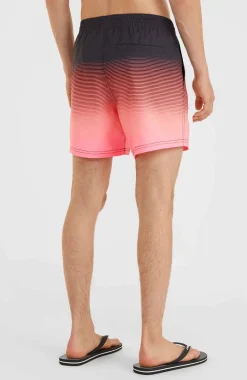 Jack O'Neill Cali Gradient 15