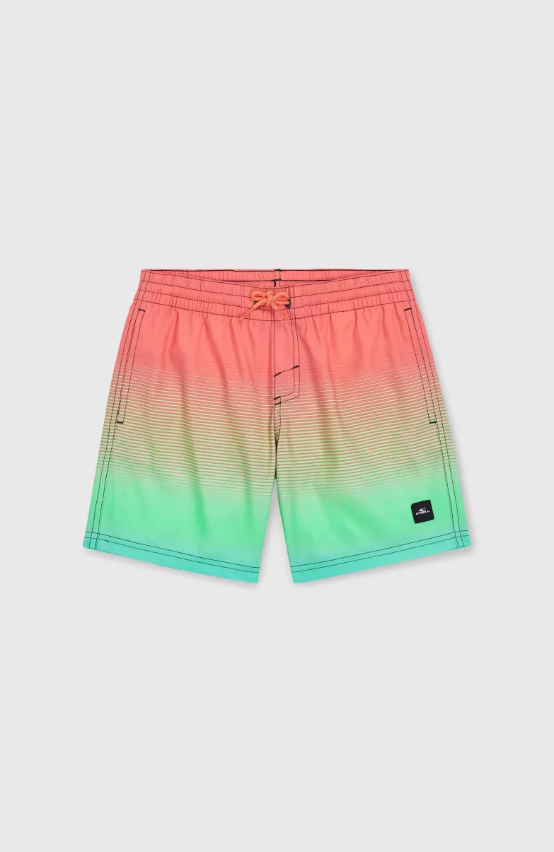 Jack O'Neill Cali Gradient 14" Zwembroek | Living Coral Simple Gradient Panel