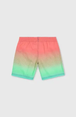 Jack O'Neill Cali Gradient 14