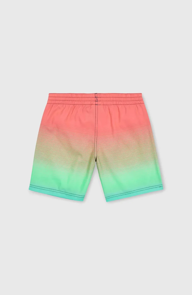 Jack O'Neill Cali Gradient 14" Zwembroek | Living Coral Simple Gradient Panel