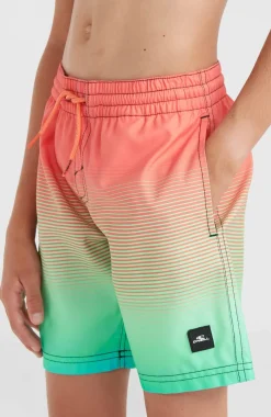 Jack O'Neill Cali Gradient 14