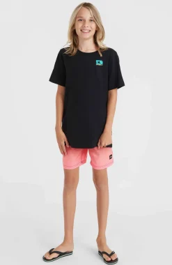 Jack O'Neill Cali Gradient 14