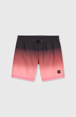 Jack O'Neill Cali Gradient 14