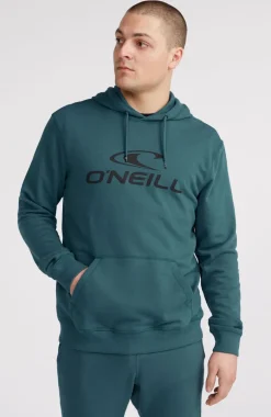 Logo Hoodie | Alma Steel