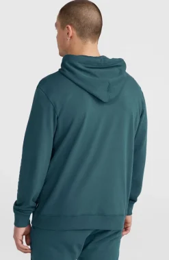 Logo Hoodie | Alma Steel