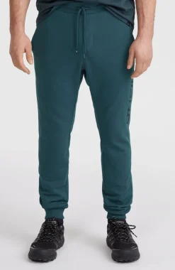 Logo Joggingbroek | Alma Steel