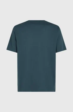 Logo T-shirt | Alma Steel