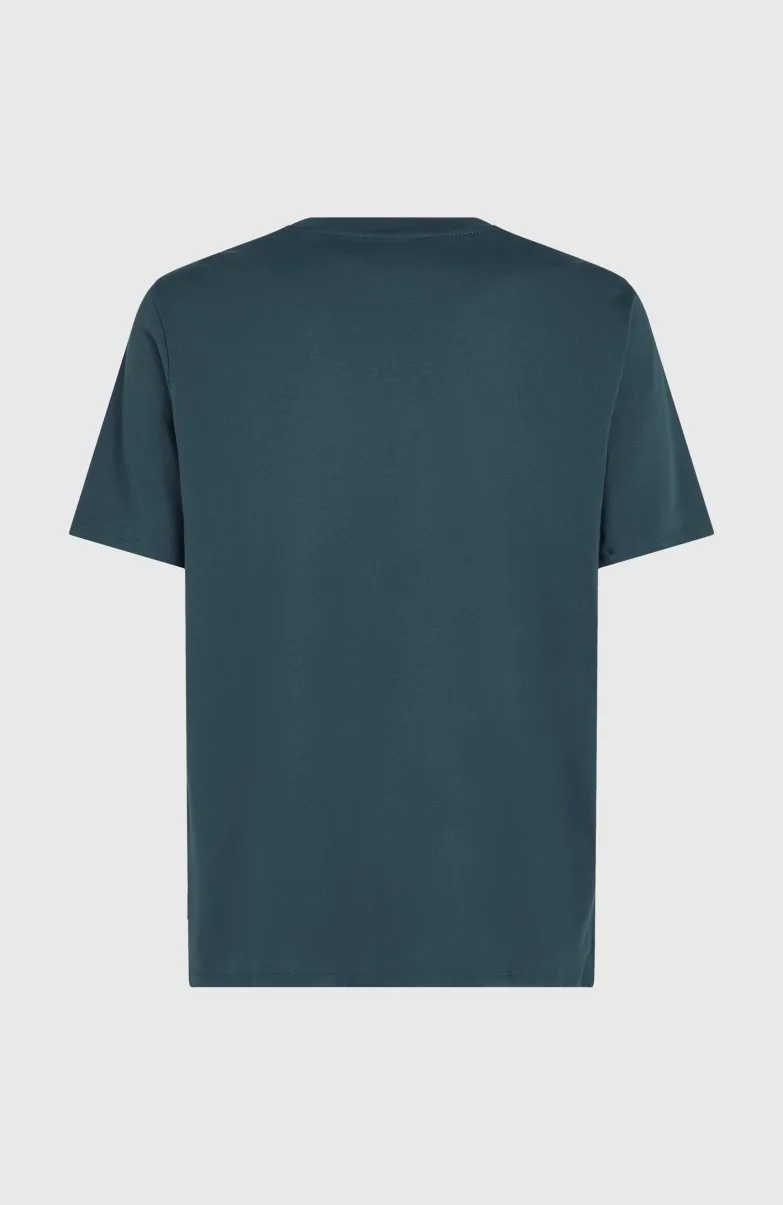Logo T-shirt | Alma Steel