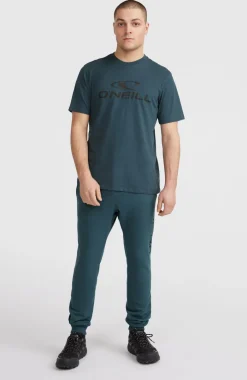 Logo T-shirt | Alma Steel