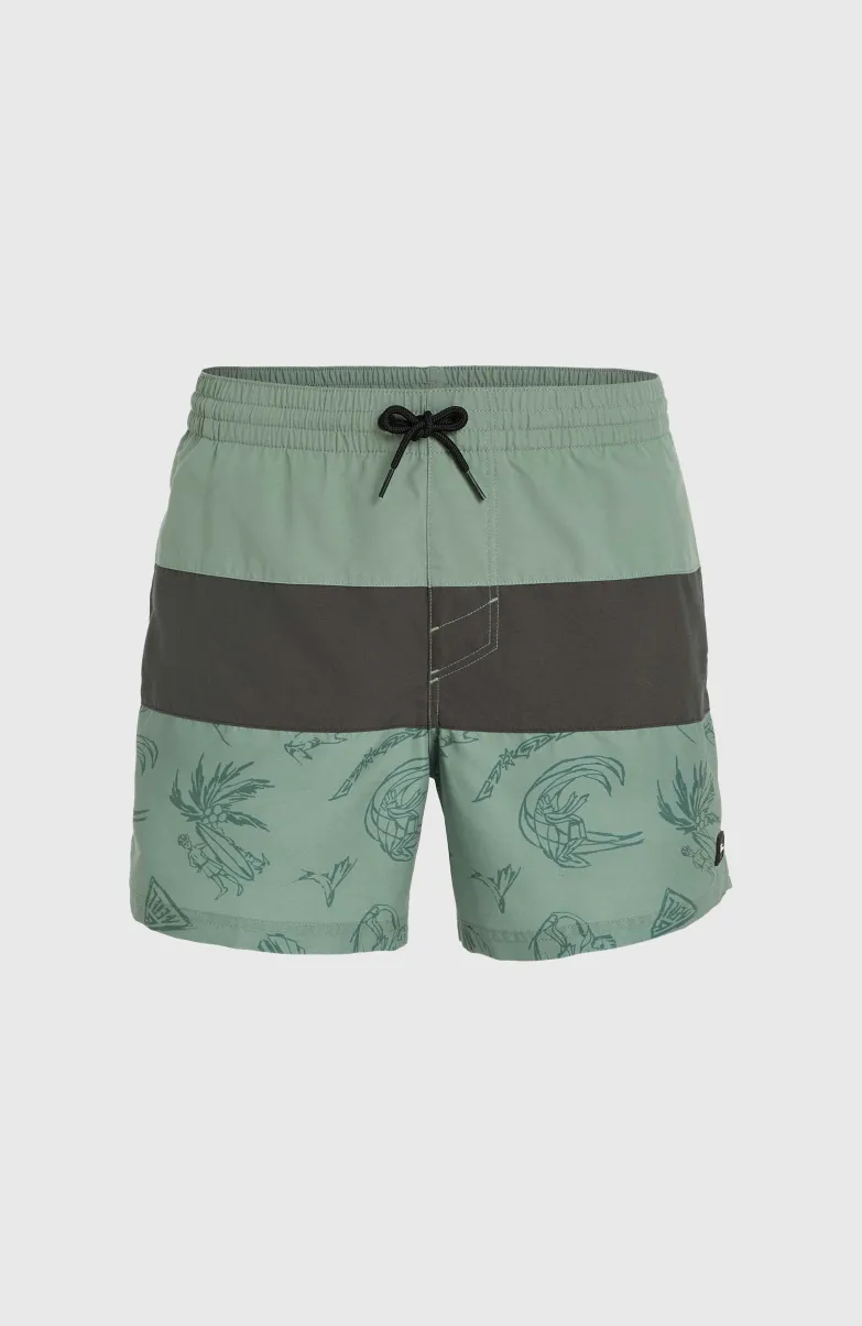 Mix And Match Cali Block 15" Zwembroek | Green Vintage Surfer