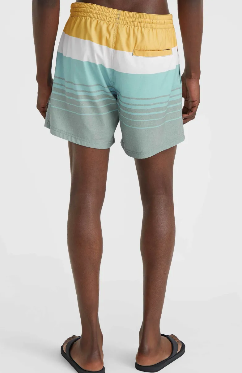 Mix And Match Cali Print 15'' Zwembroek | Green Mix&Match Panel Print