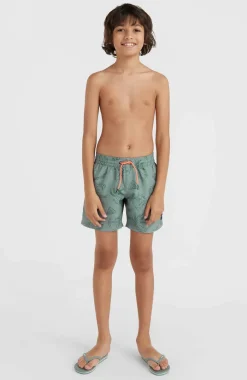 Mix And Match Cali Print 13'' Zwembroek | Green Vintage Surfer