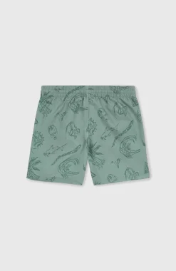 Mix And Match Cali Print 13'' Zwembroek | Green Vintage Surfer