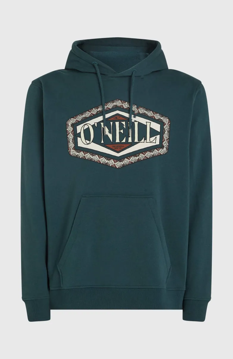 O'Neill Front Print Hoodie | Alma Steel