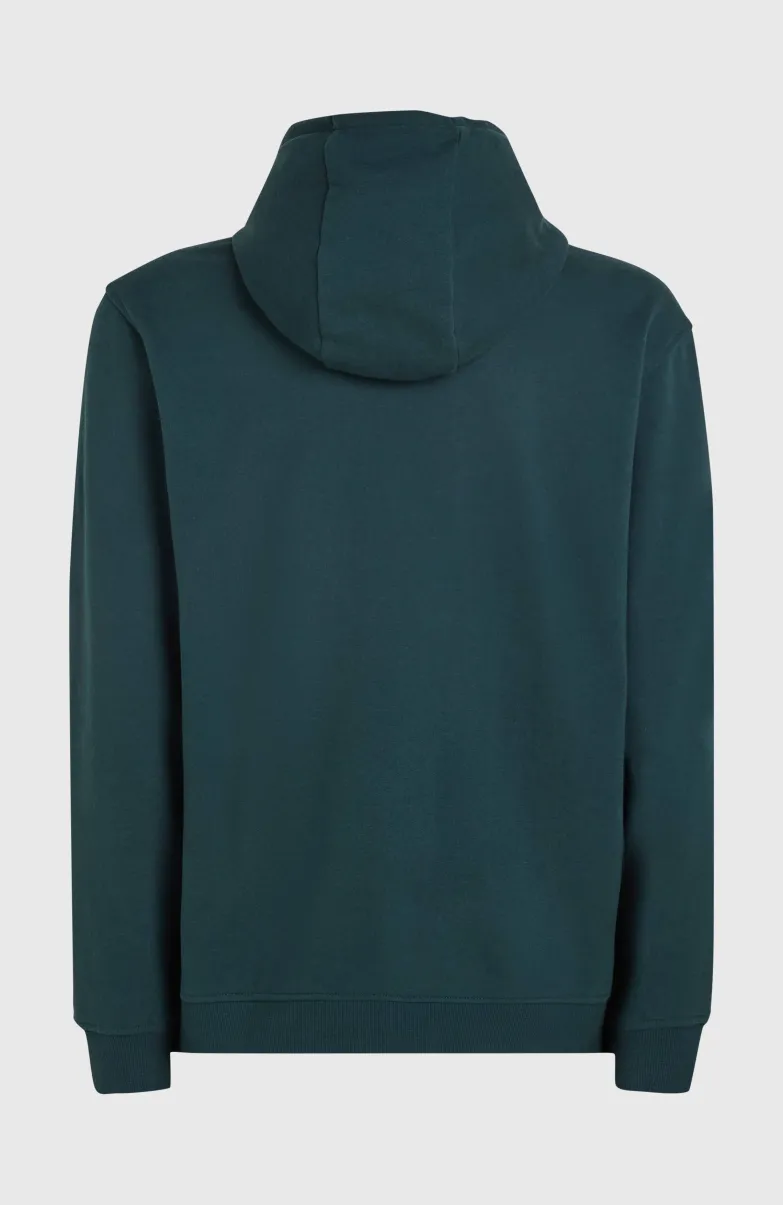 O'Neill Front Print Hoodie | Alma Steel