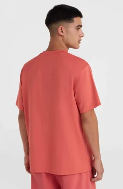 O'Neill Hybrid Logo Polygiene T-shirt | Red Orcher