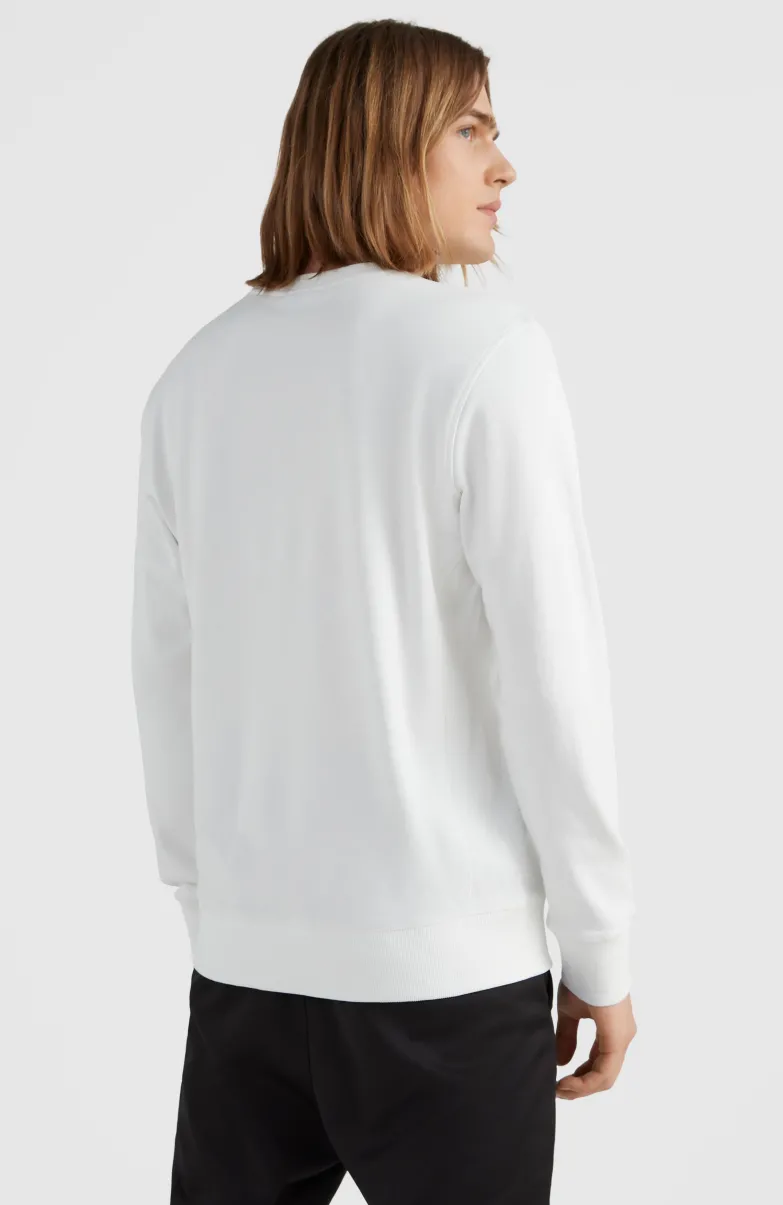 O'Neill Logo Crew Sweater | Snow White
