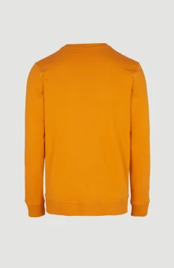 O'Neill Logo Crew Sweater | Nugget