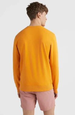 O'Neill Logo Crew Sweater | Nugget