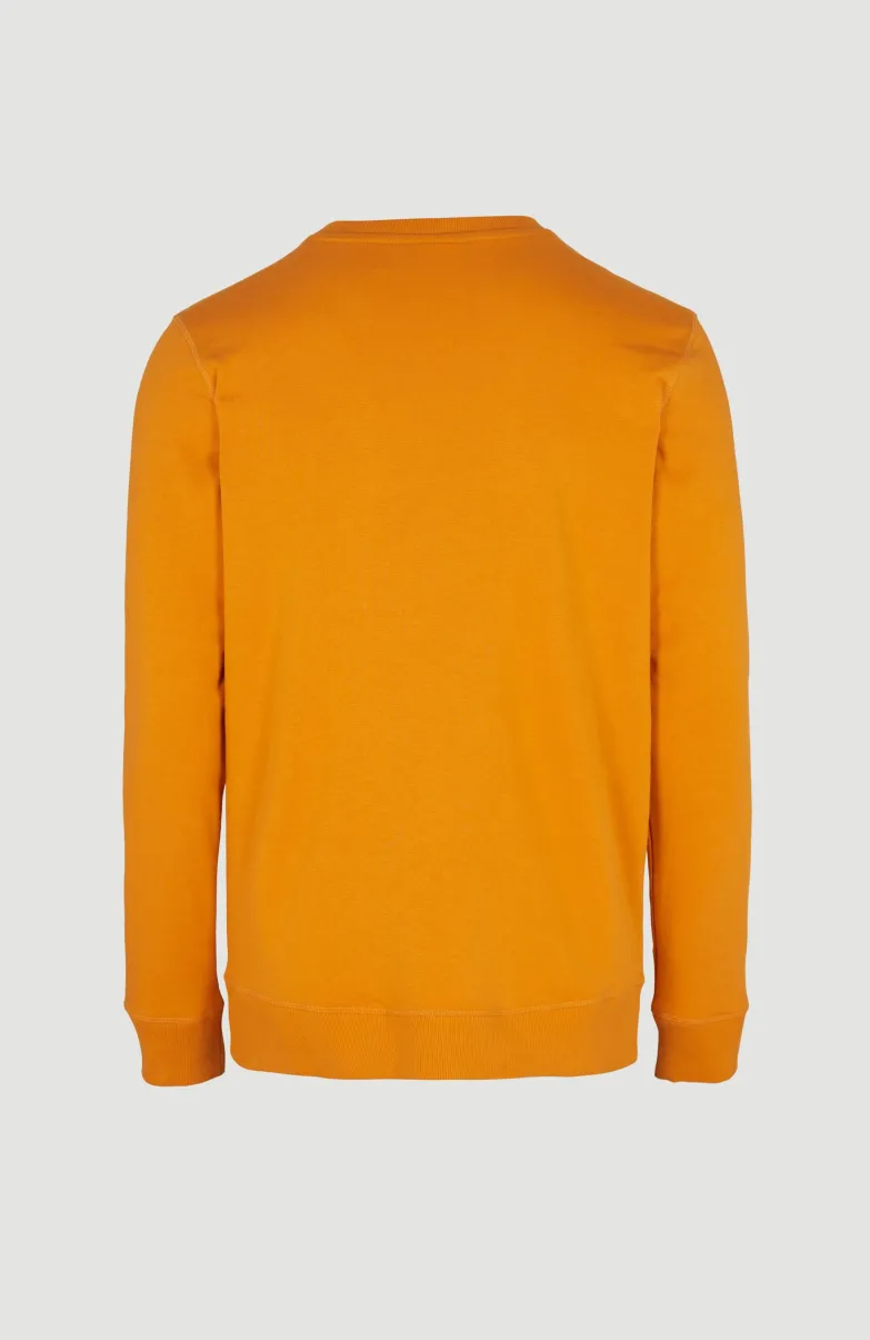 O'Neill Logo Crew Sweater | Nugget