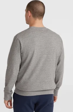 O'Neill Logo Crew Sweater | Silver Melee