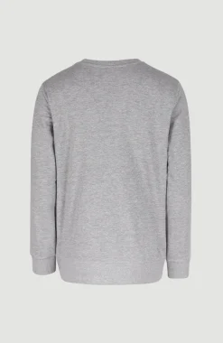 O'Neill Logo Crew Sweater | Silver Melee