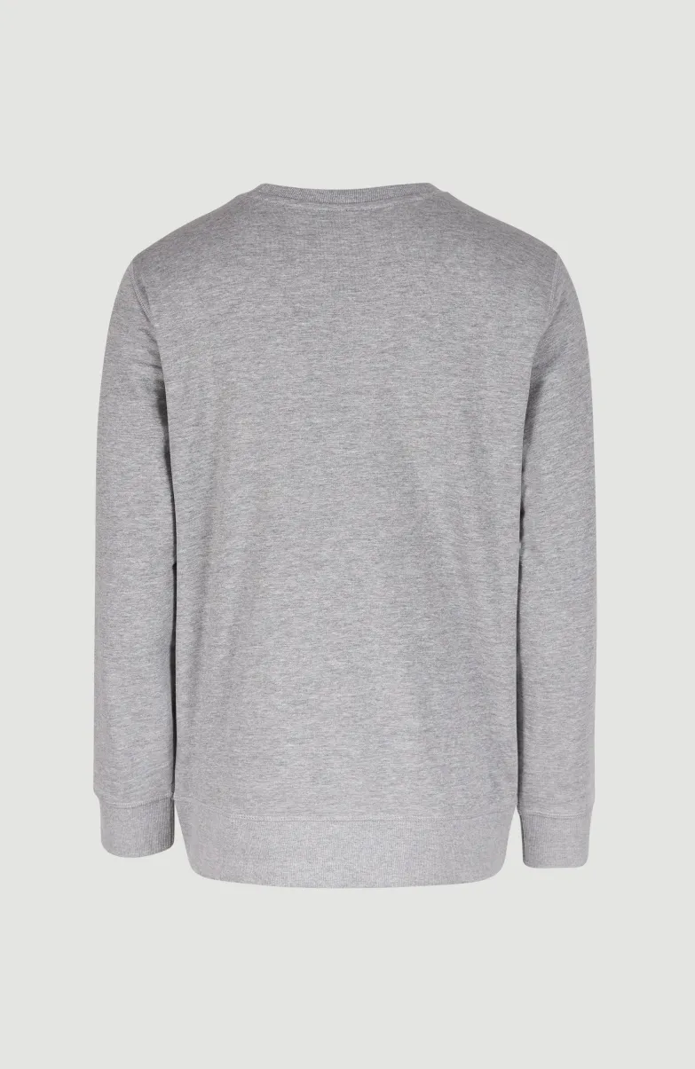 O'Neill Logo Crew Sweater | Silver Melee