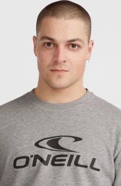 O'Neill Logo Crew Sweater | Silver Melee