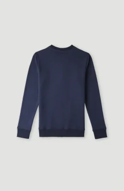 O'Neill Logo Crew Sweater | Ink Blue