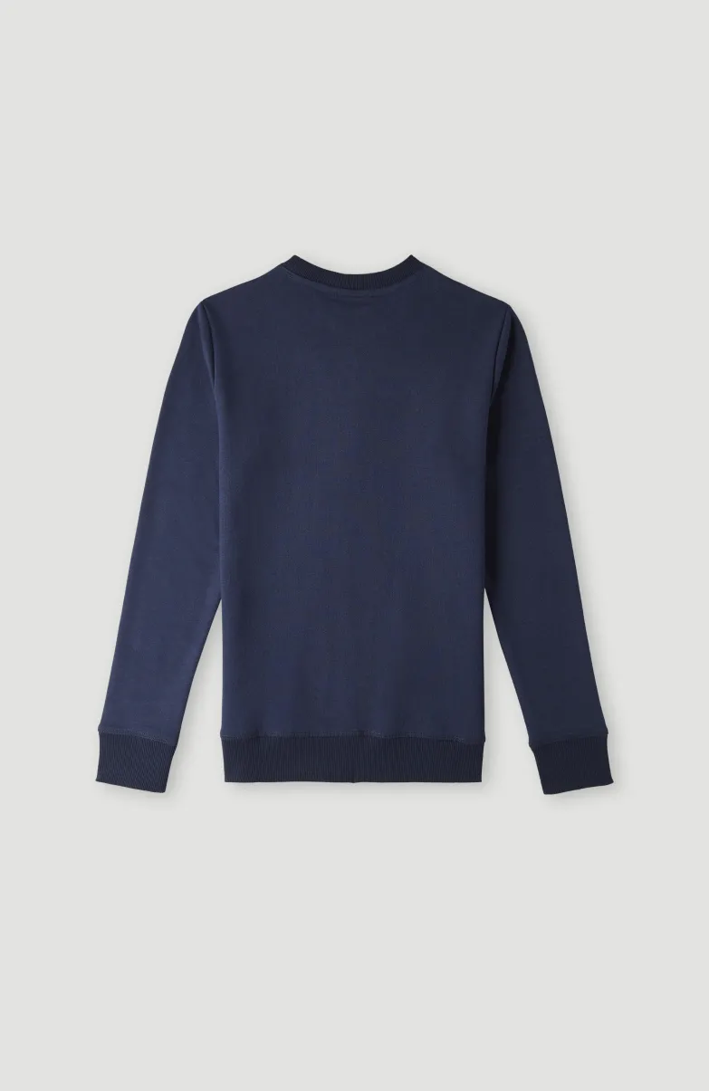 O'Neill Logo Crew Sweater | Ink Blue