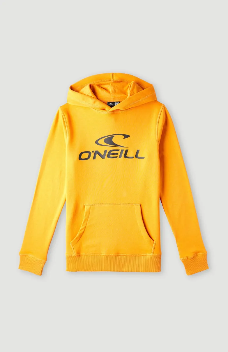 O'Neill Logo Hoodie | Nugget