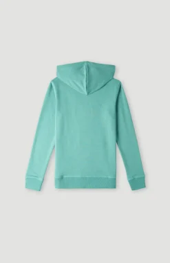 O'Neill Logo Hoodie | Sea Green