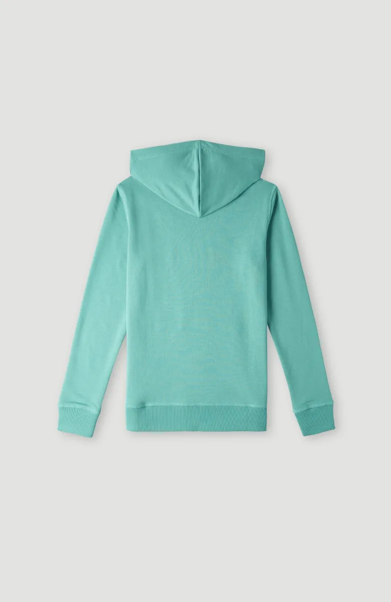 O'Neill Logo Hoodie | Sea Green