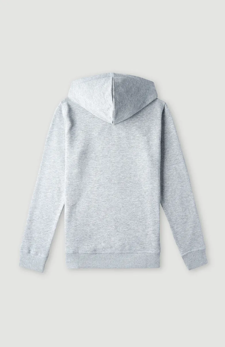 O'Neill Logo Hoodie | Silver Melee