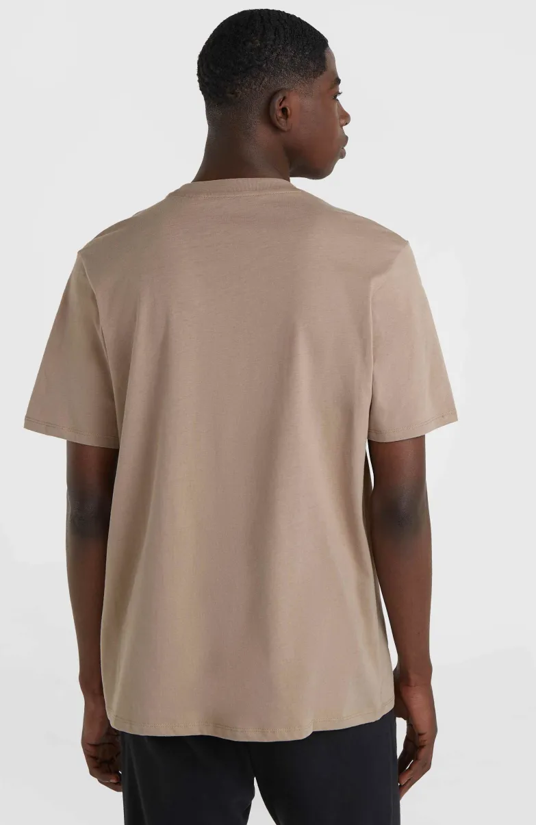 O'Neill Logo T-shirt | Pumpkin Smoke