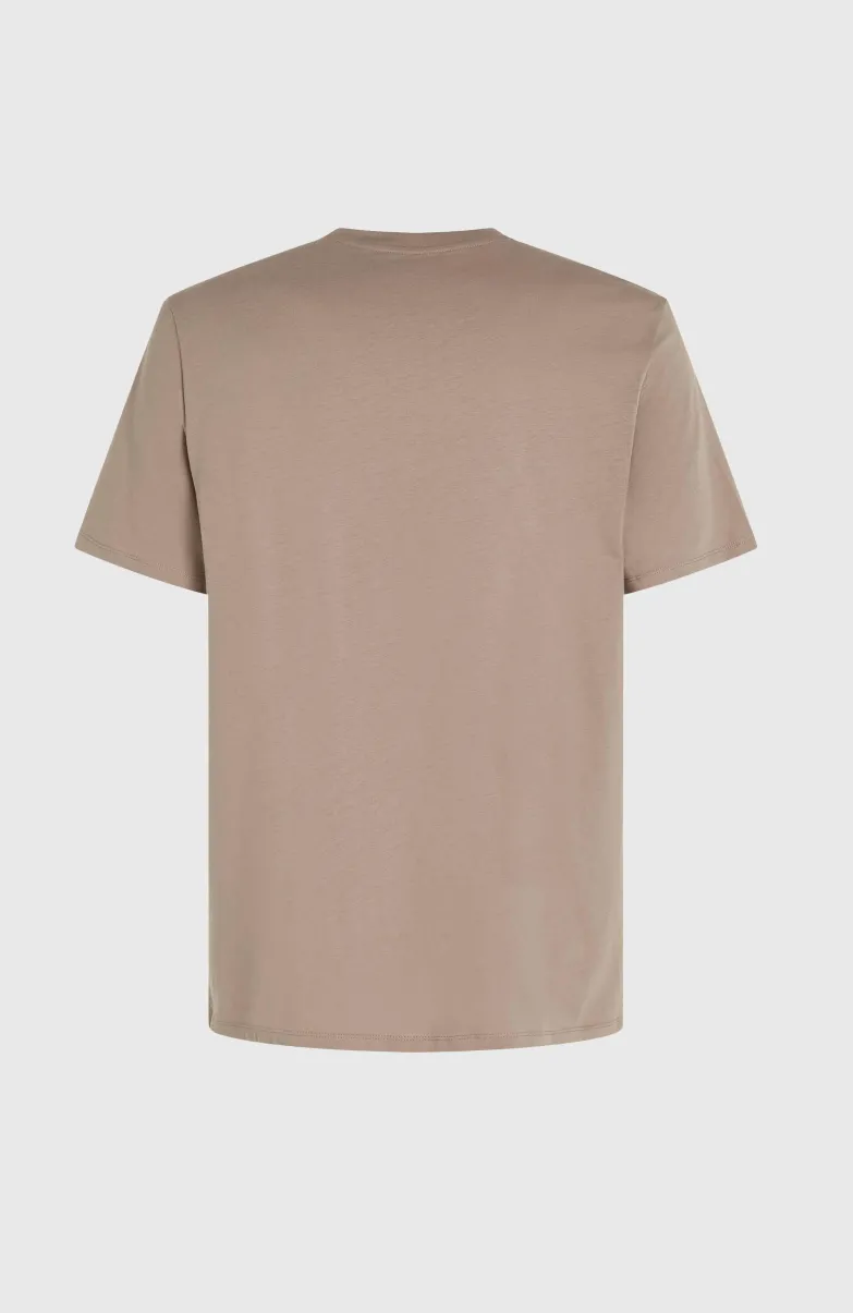 O'Neill Logo T-shirt | Pumpkin Smoke