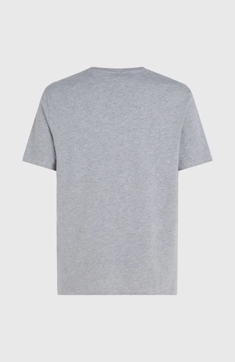 O'Neill Logo T-shirt | Silver Melee -A
