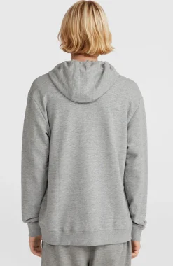 O'Neill Small Logo Capuchonvest Met Volledige Rits | Silver Melee
