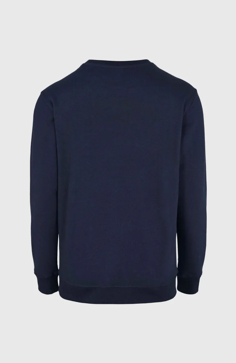 O'Neill Small Logo Crew Sweater | Ink Blue