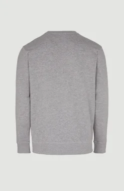 O'Neill Small Logo Crew Sweater | Silver Melee