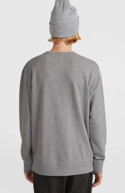 O'Neill Small Logo Crew Sweater | Silver Melee